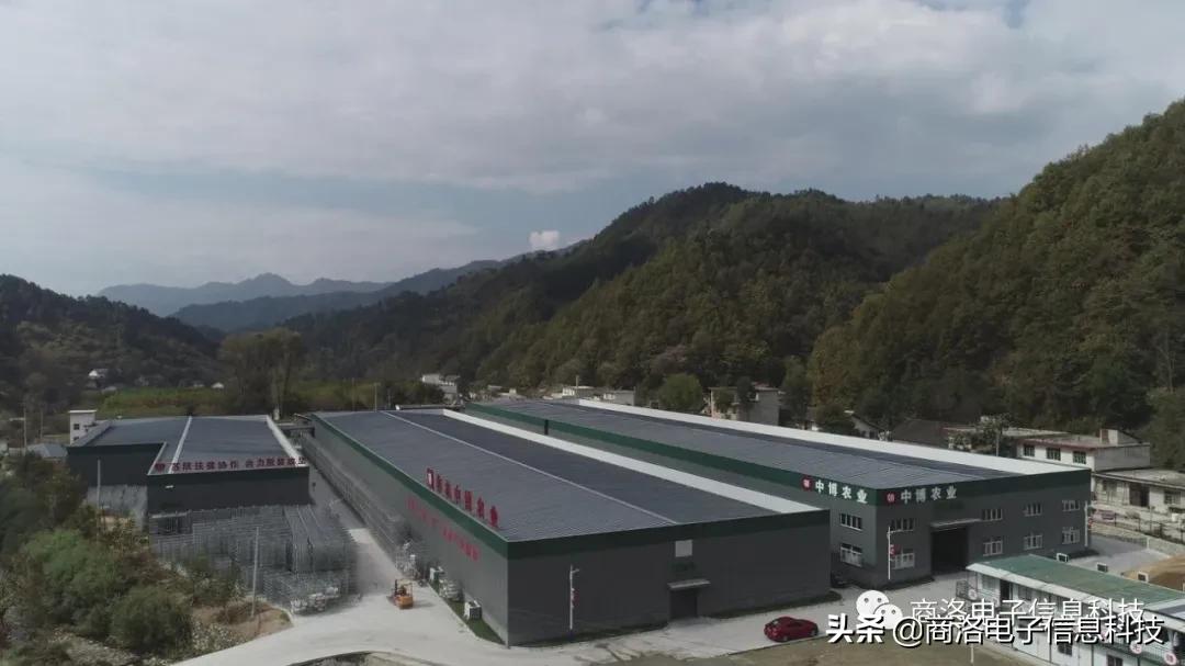 商洛市柞水县人口多少万,商洛人口会不会越来越少