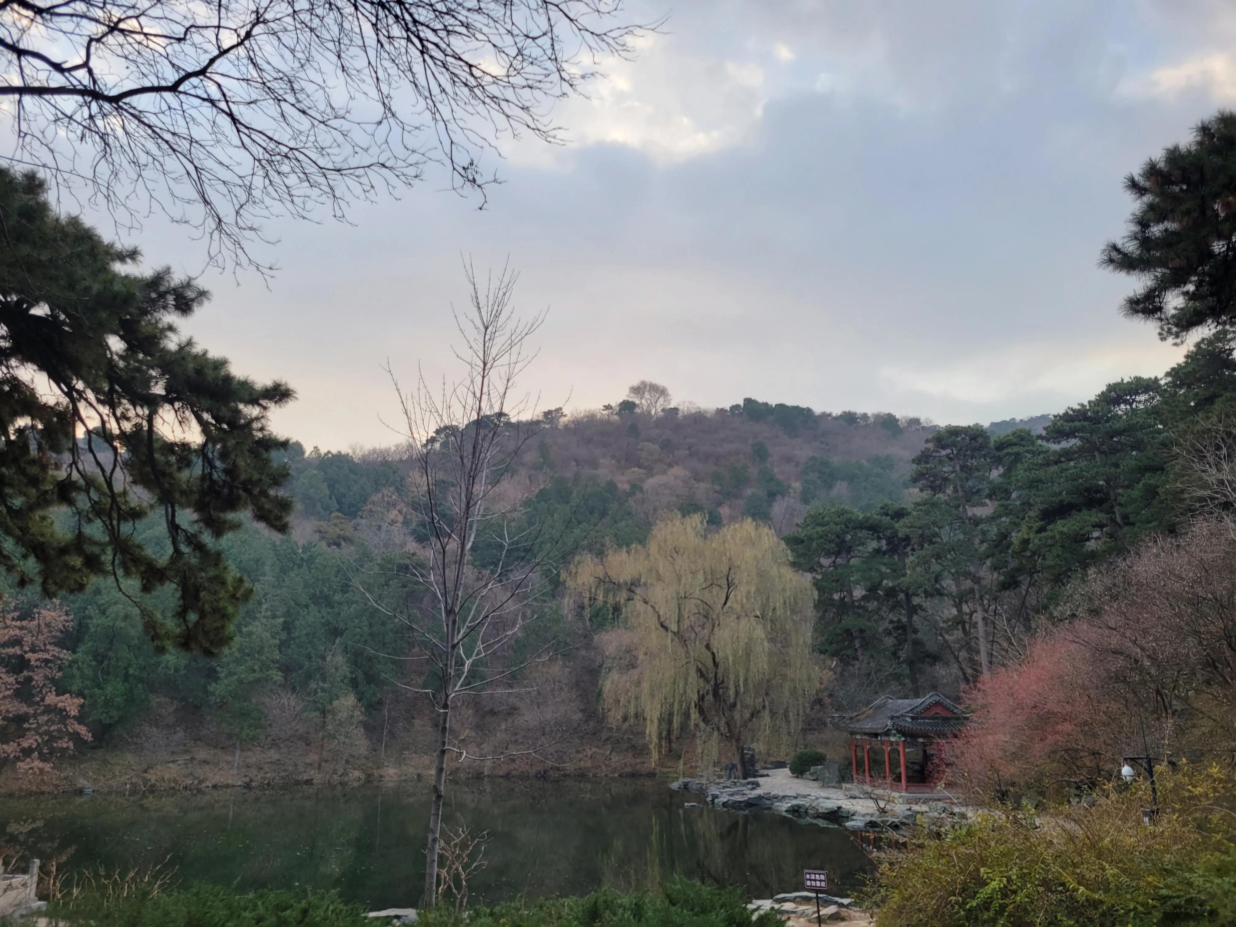 棣欏北涓轰粈涔堣繖涔堥,棣欏北浣犳潵浜嗗悧