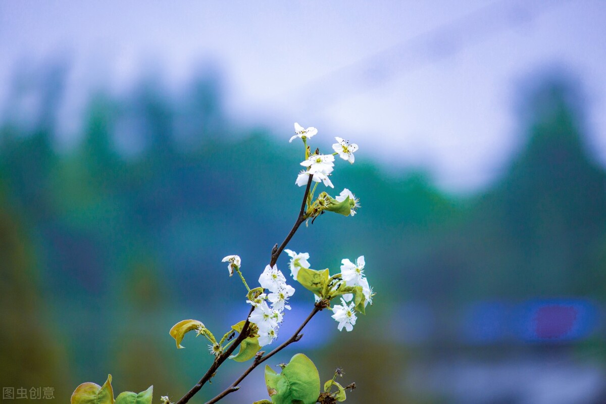大智慧走势预测,大智慧预判