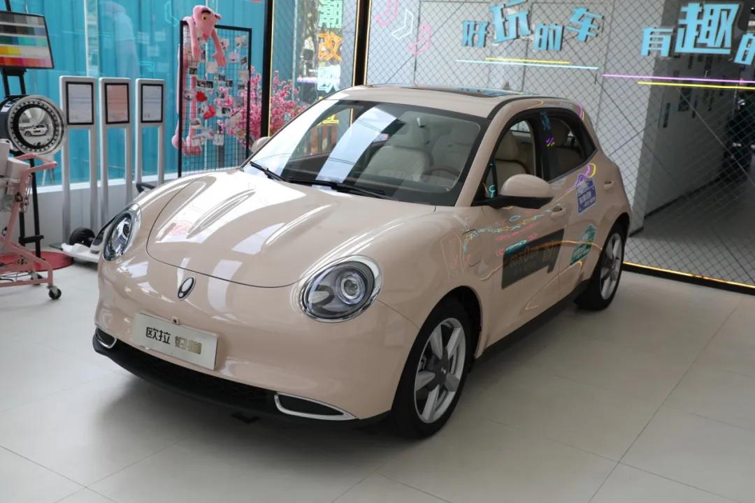 “七夕节”快到了送啥玫瑰不如送“欧拉好猫”吧