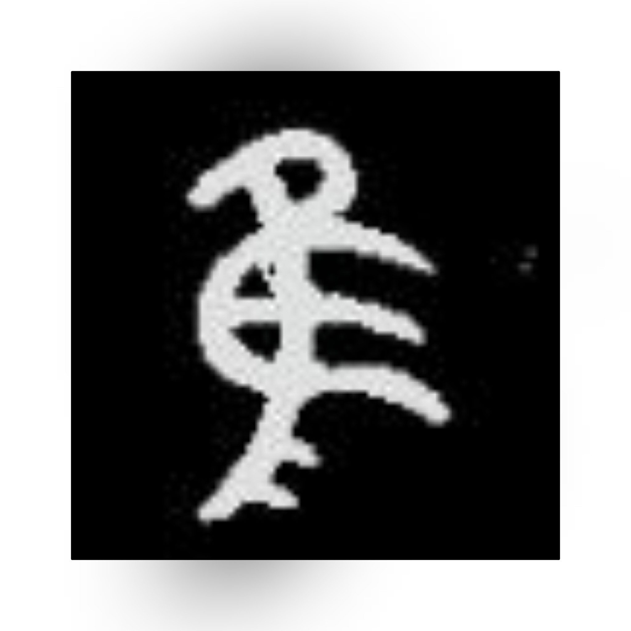 佳和隹字区别,隹字的讲解