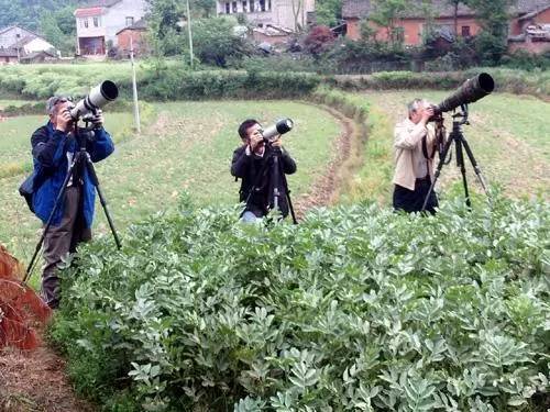 摄影圈里的潜规则是什么,揭秘摄影行业套路