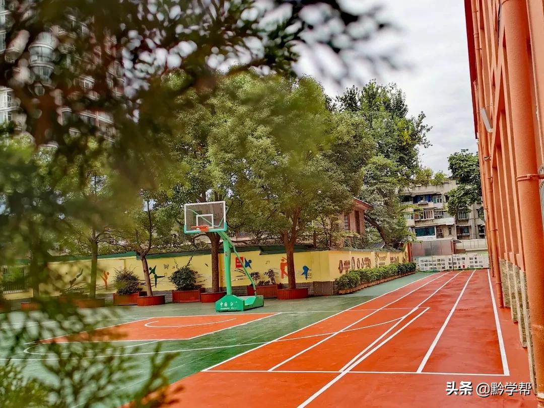 贵阳小学分校排名,贵阳小学总校和分校有区别吗