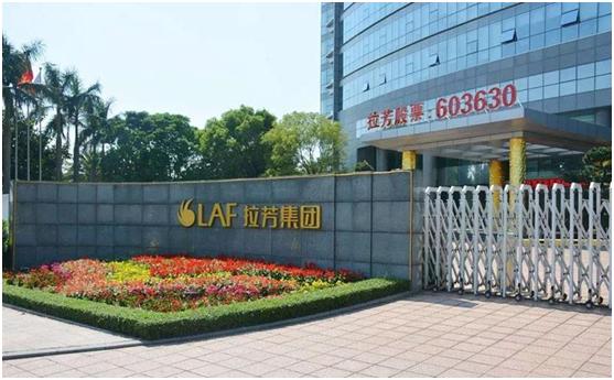 拉芳家化股票季报,2024拉芳家化最新分红消息