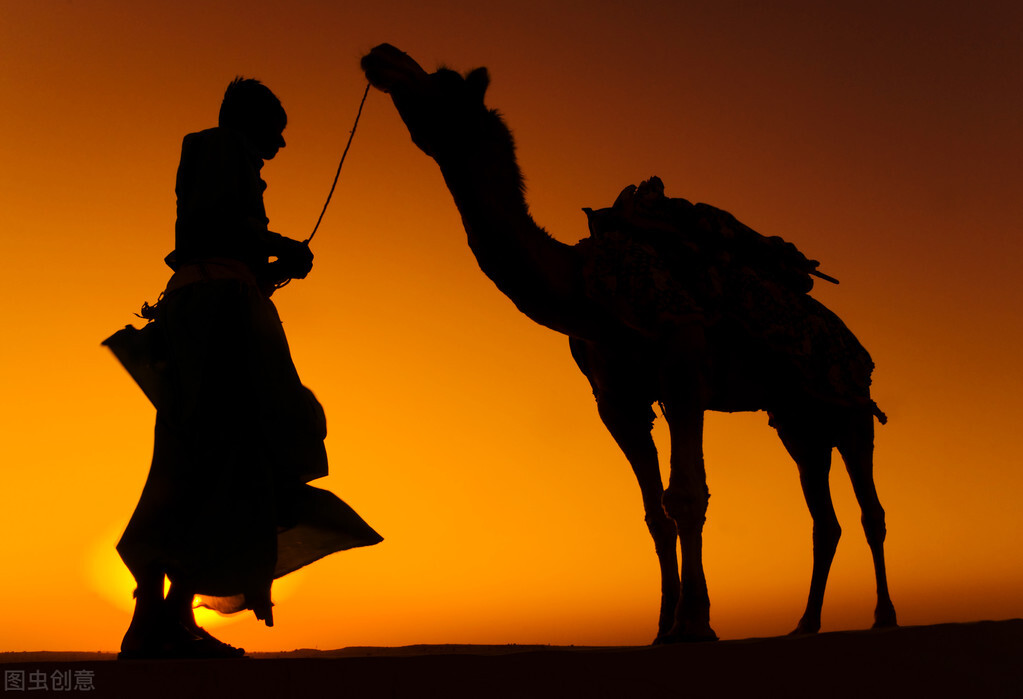 高营养护眼水果,护眼之王水果有哪些