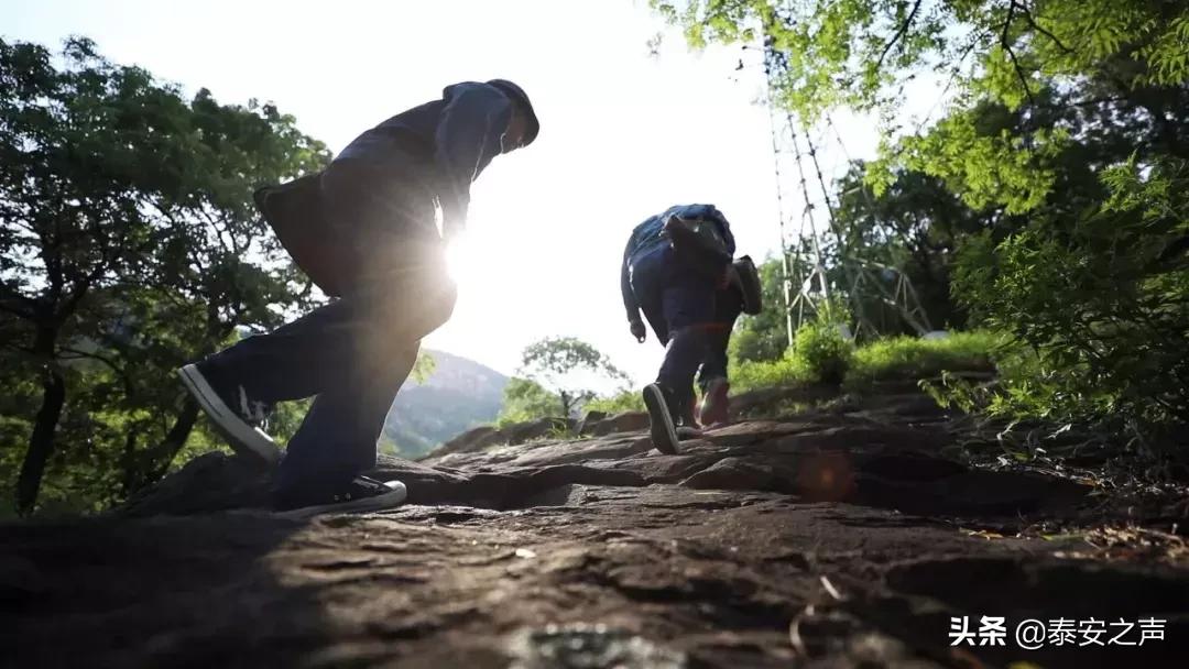 泰山隐藏路线,登泰山步行有几条路