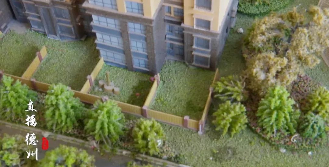 禹城凯旋公馆直播视频,禹城浩东凯旋公馆一楼带院