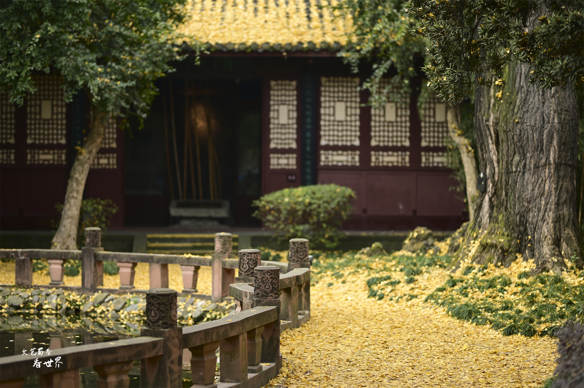 去成都旅行自由行攻略,假期去成都哪里好玩