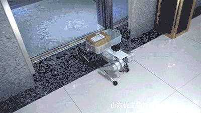 1万8元秋田犬出售,最新一代机器狗