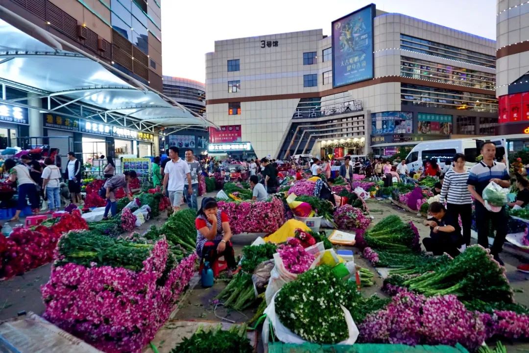 玫瑰花10支批发高原红,最好看的鲜花批发市场