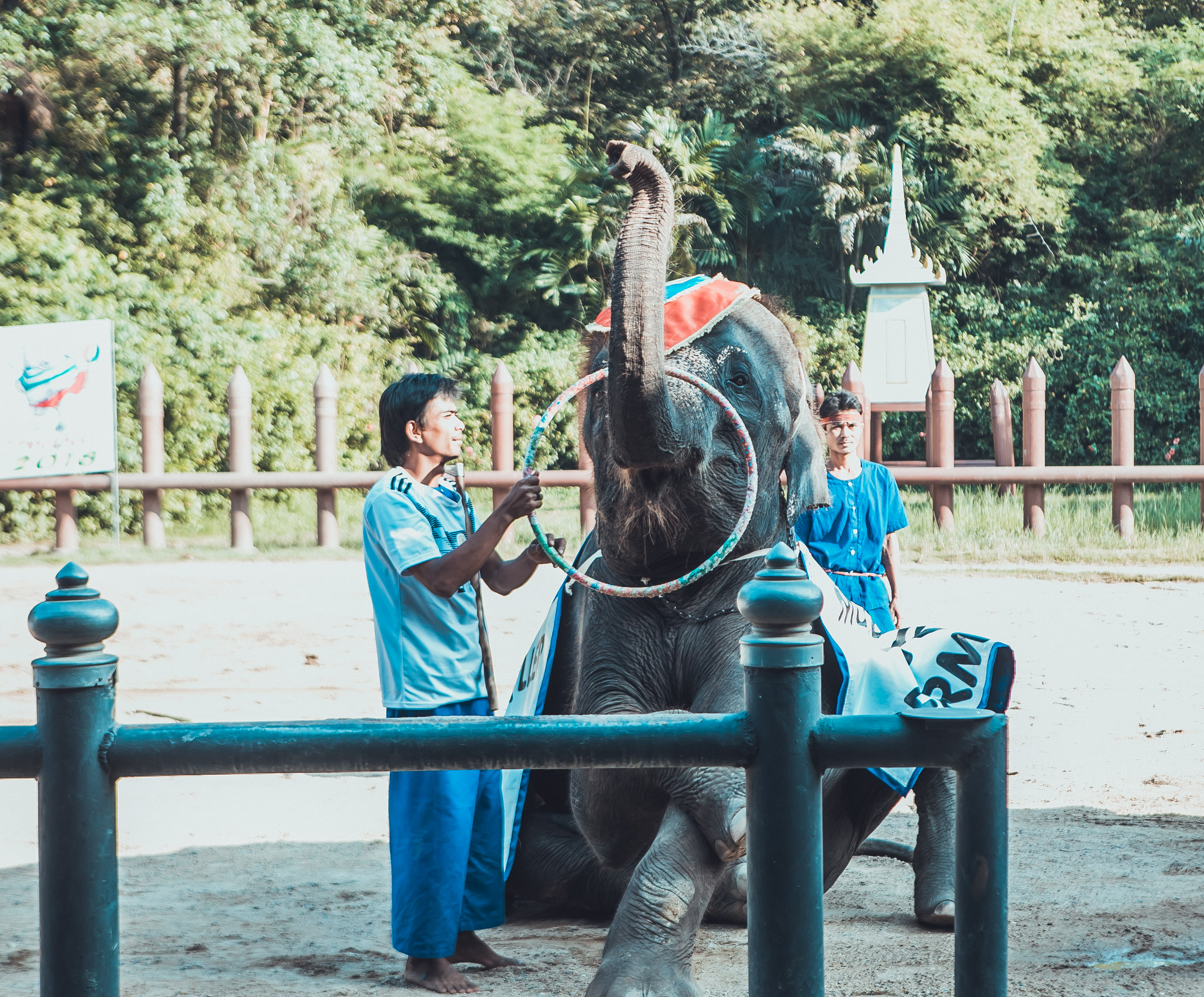 大象在泰国和印度象征着什么,大象是泰国的象征英语