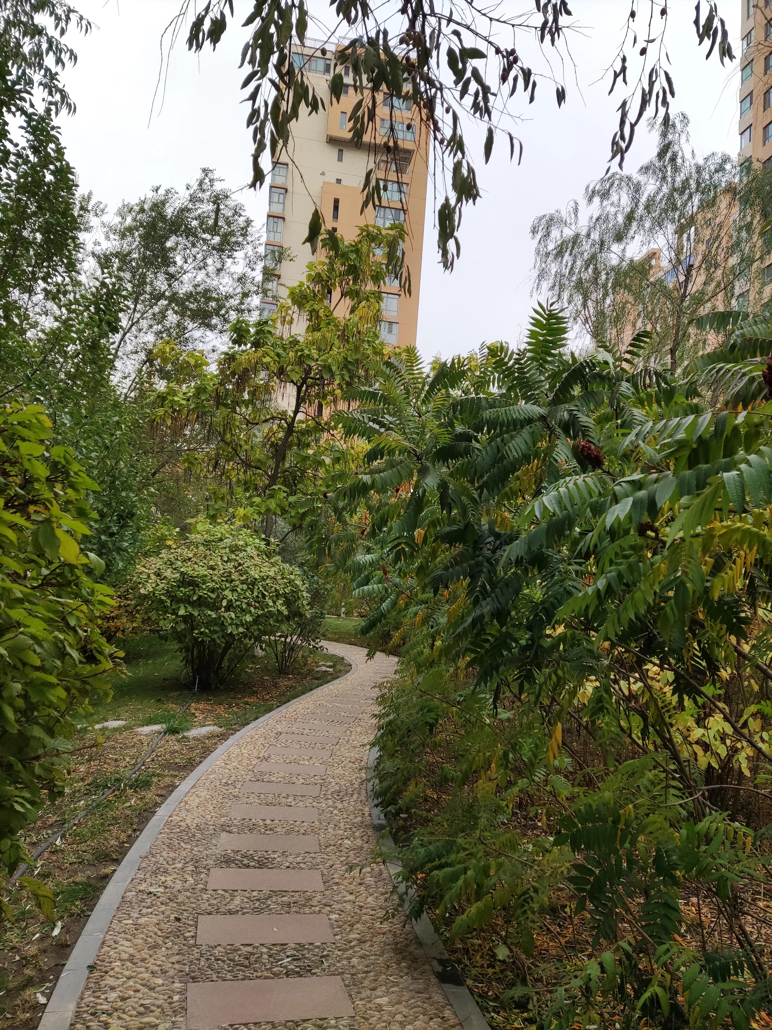 乌鲁木齐市南湖绿化广场附近小区,乌鲁木齐绿化最好的公园