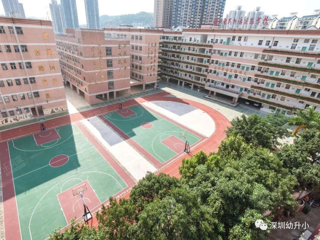 深圳福田小学直升初中,深圳哪些学校可以直升高中