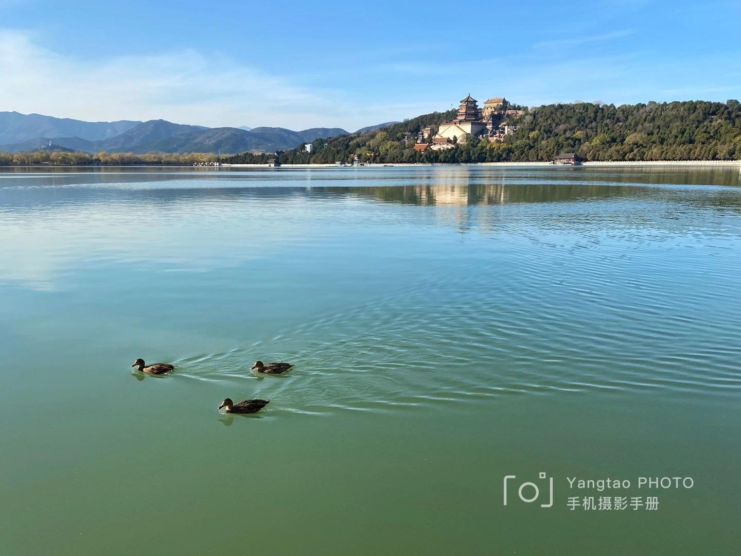 飞行2万公里，足迹10个城市——2020我的手机摄影之旅