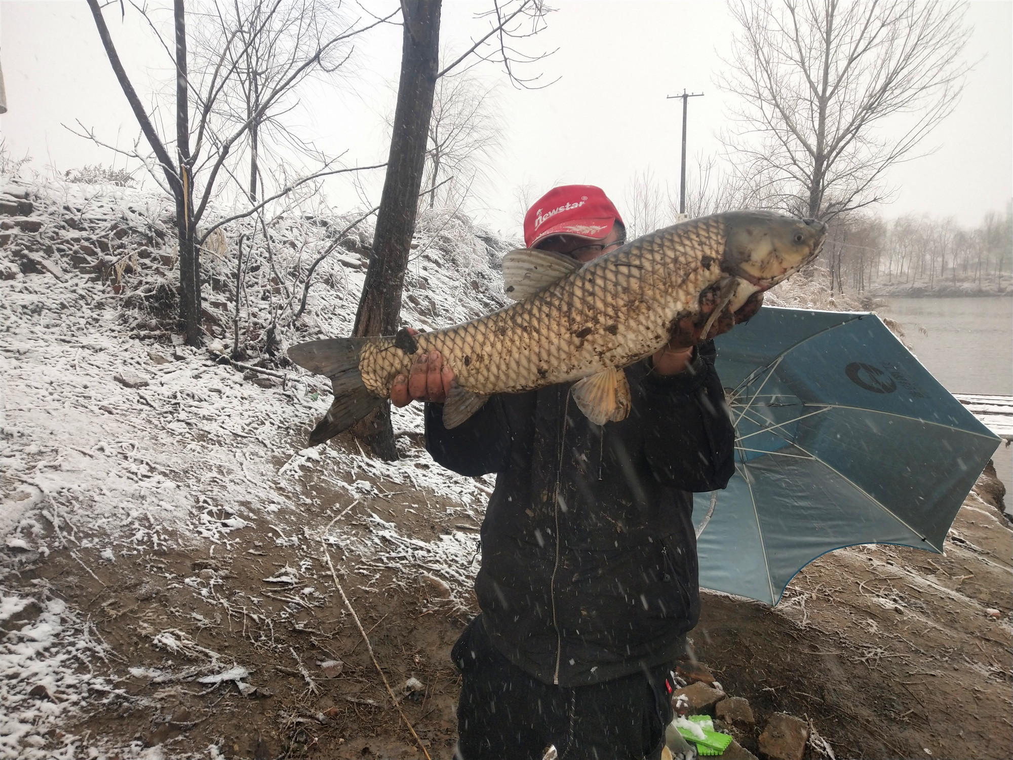 袖钩和新关东鱼钩对比表,袖钩主流鱼钩图解