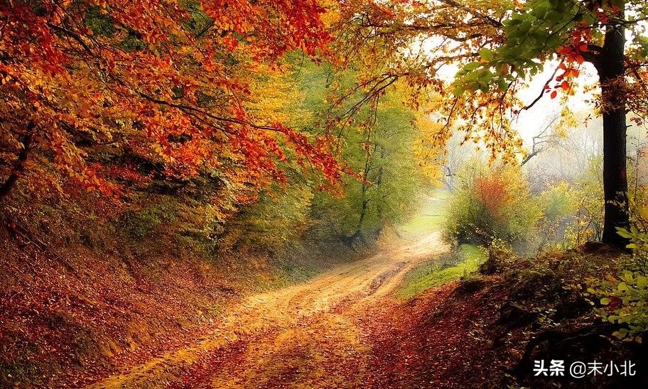 最体面的告别是说出来还是沉默,最体面的告别就是默默地离开