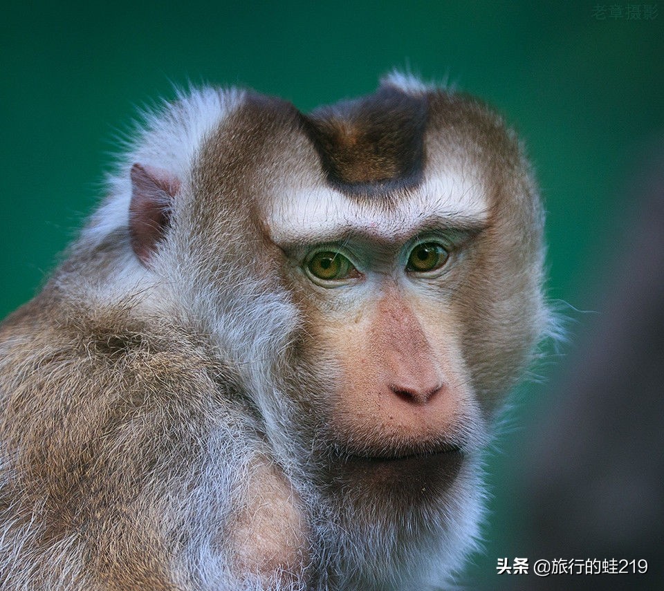 江西上饶旅游城市排名,江西上饶最有潜力的城市