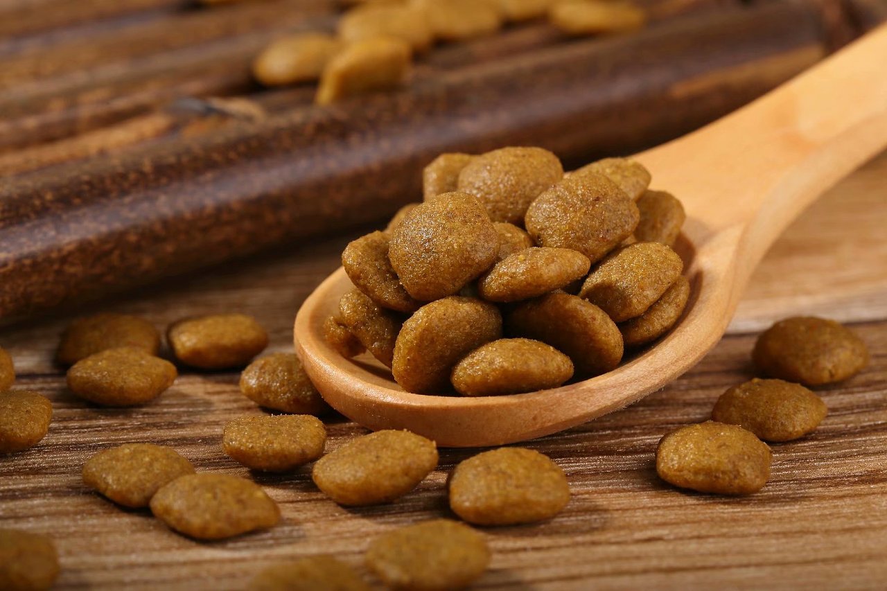 边牧不爱吃不运动,边牧突然不肯吃狗粮怎么办