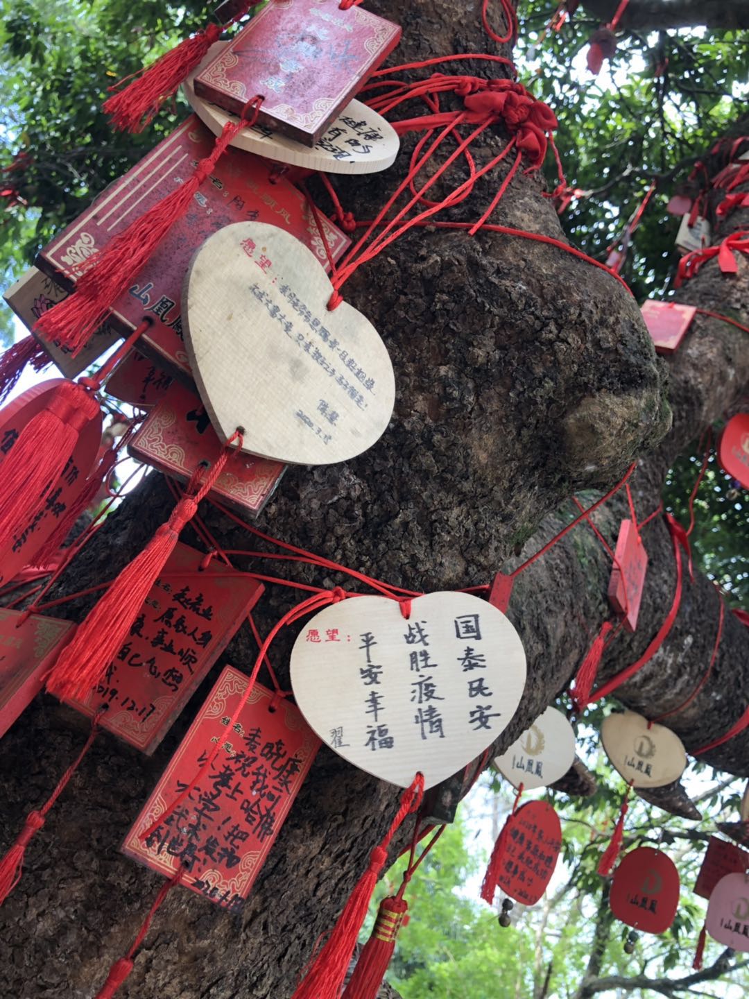 宝安凤凰山游玩攻略,来深圳没去过梧桐山