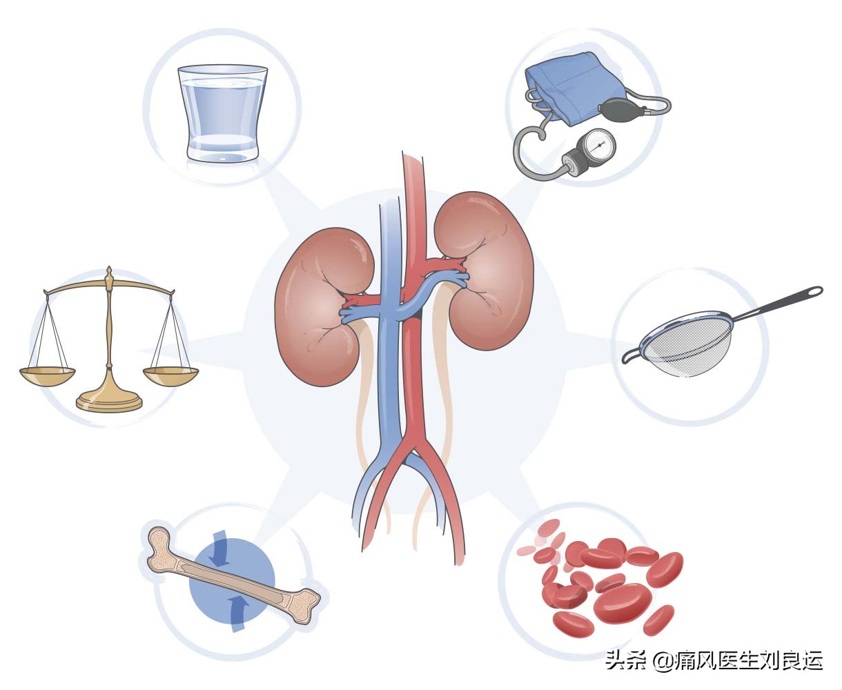 尿酸导致的肌酐升高能不能降下来,我的肌酐是29正常吗