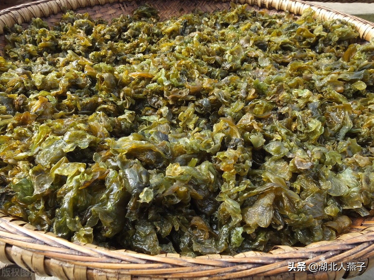 各种可以吃的野菜图片大全及名称 (100种野菜图片大全和名称和吃法)