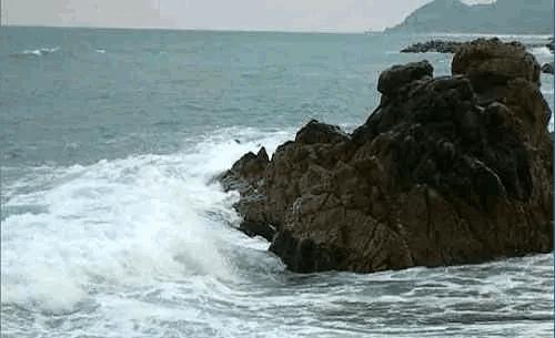 大自然山水花鸟大全,回归自然山水花鸟