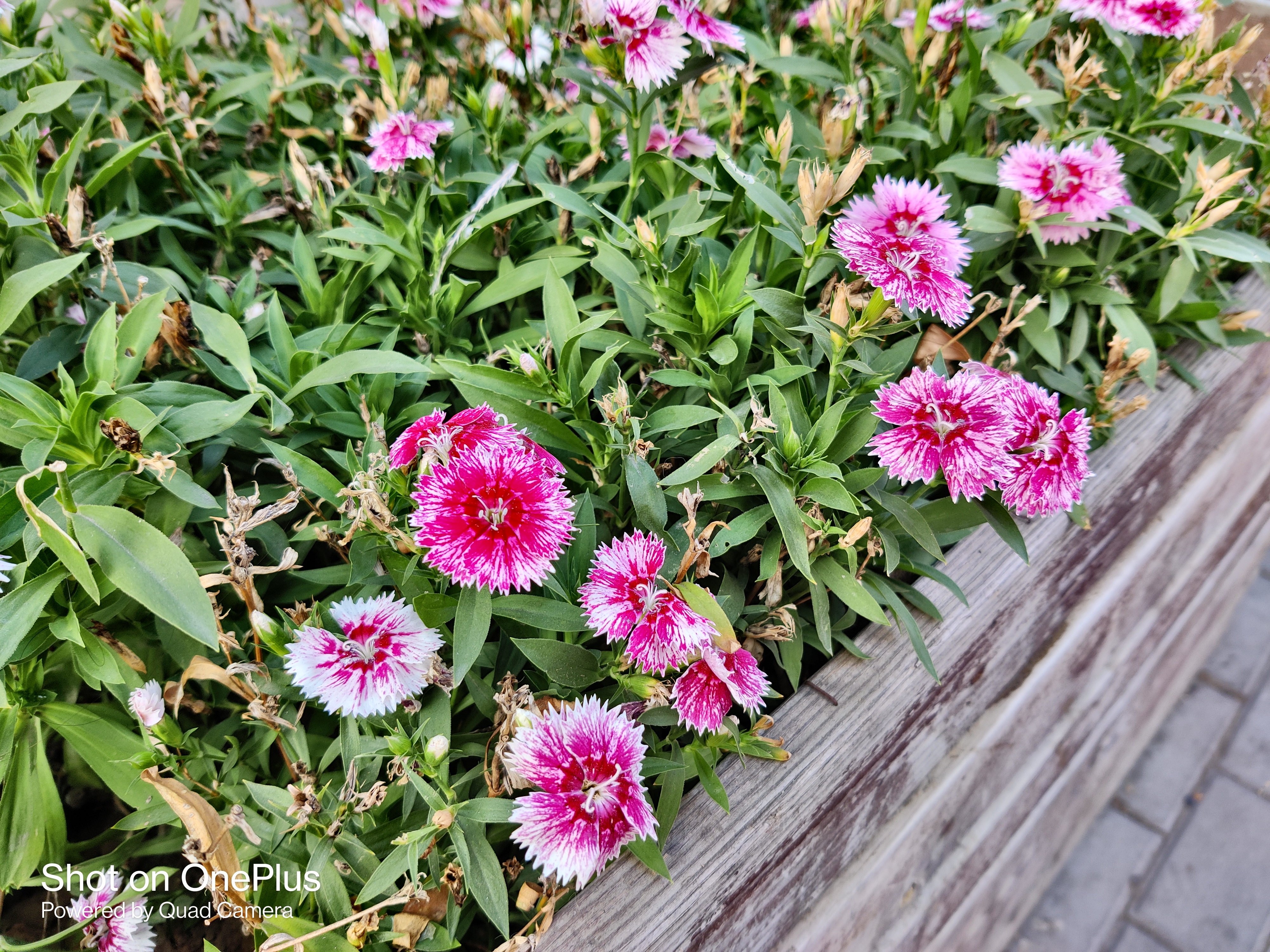 一加8t到底好用不,一加8t用一个月感受