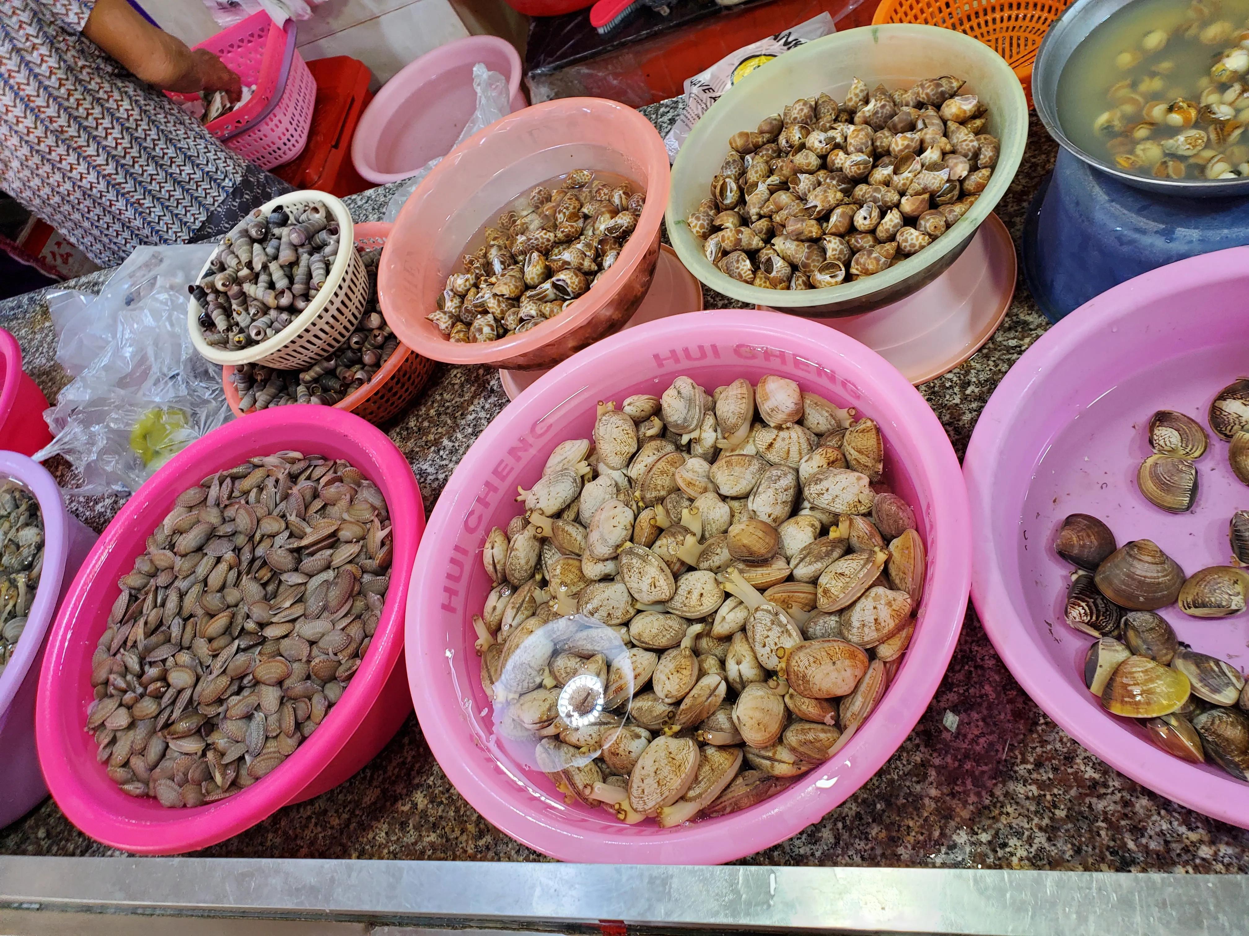 这个冬天我就要去旅行,来三亚享受着冬天里的夏天吧