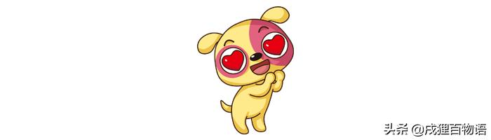 家里的狗狗发情了，该怎么照顾它？