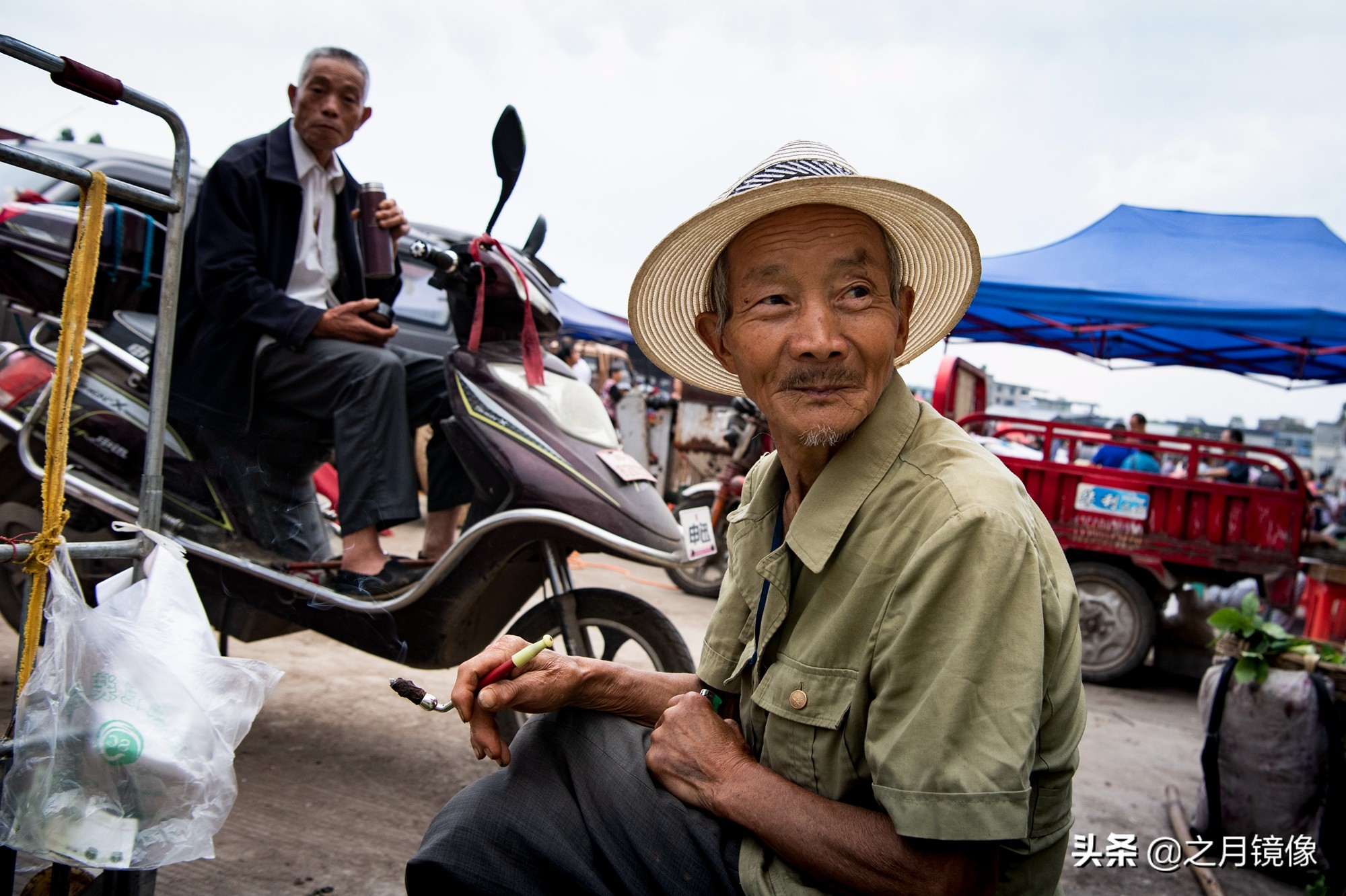 天府新区太平枇杷,成都太平枇杷批发市场