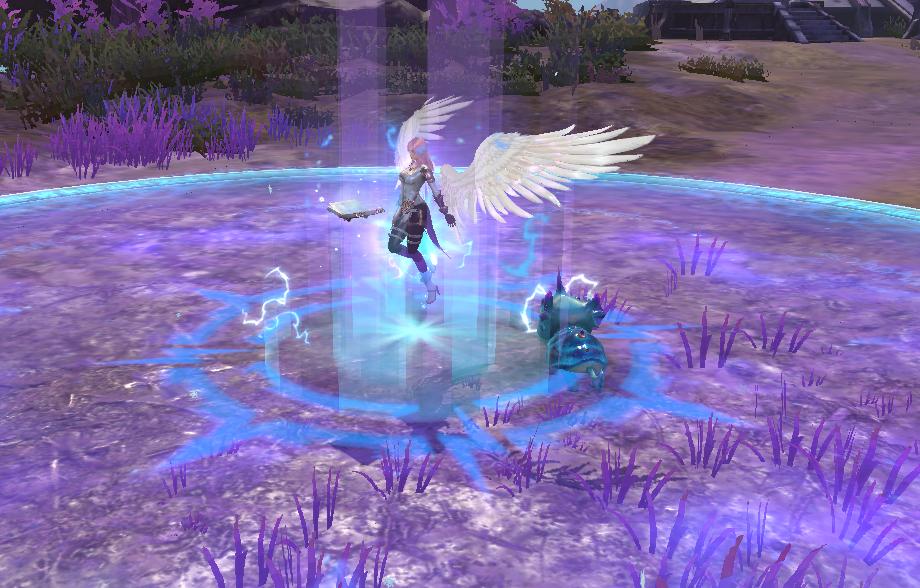 谁说奶妈不能输出全息,新神魔大陆法师攻略大全最新