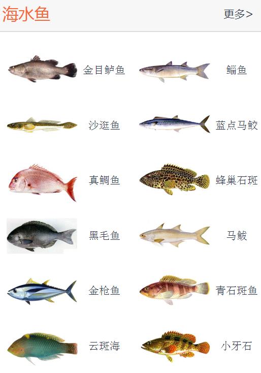 路亚竿上的数据参数怎么看,新手入门路亚如何选择钓竿