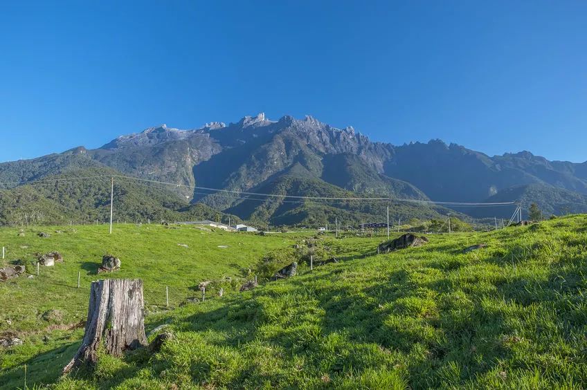 吃19块钱的海鲜自助,深圳133块钱海鲜吃到爽