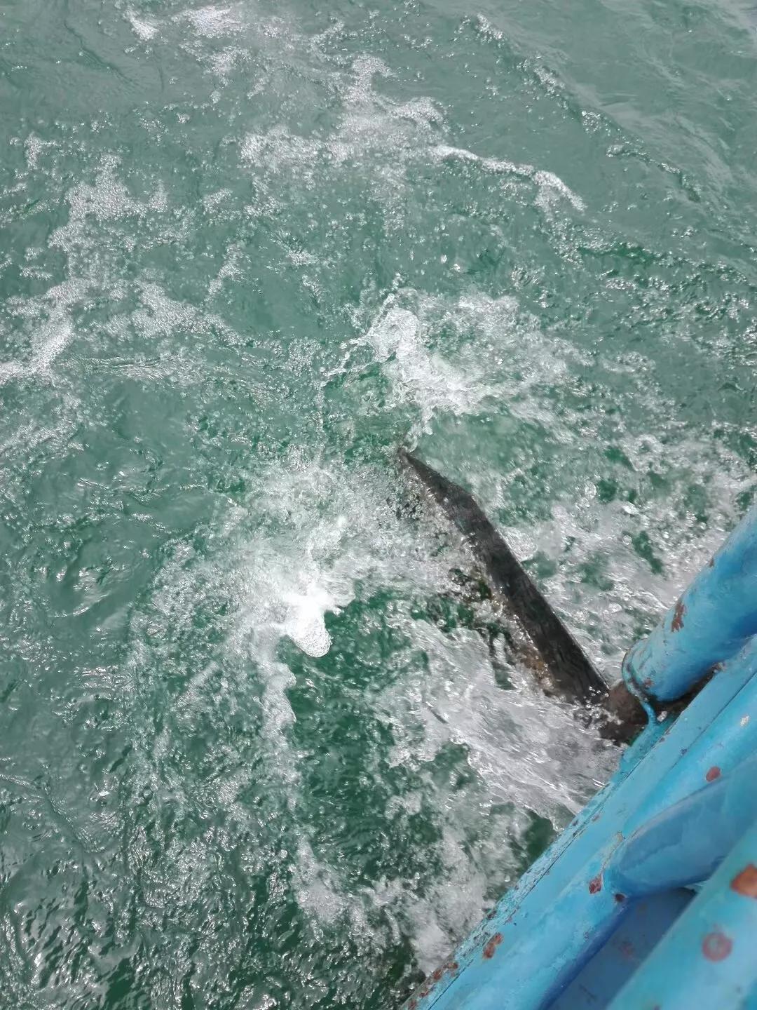 昆明值得去放松灵魂的地方,昆明碧水蓝天