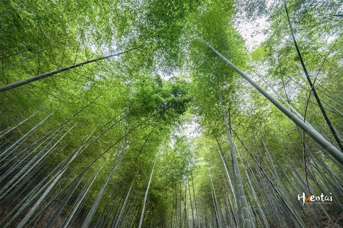 周末自驾游安徽郎溪,门票只花了30块,其它都是原生态秘境