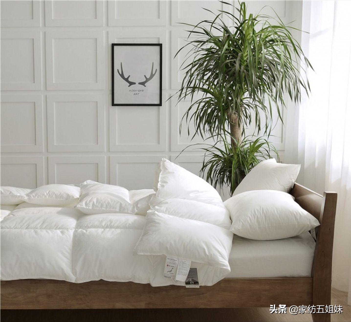 床品起球,怎么鉴别床品起球不起球