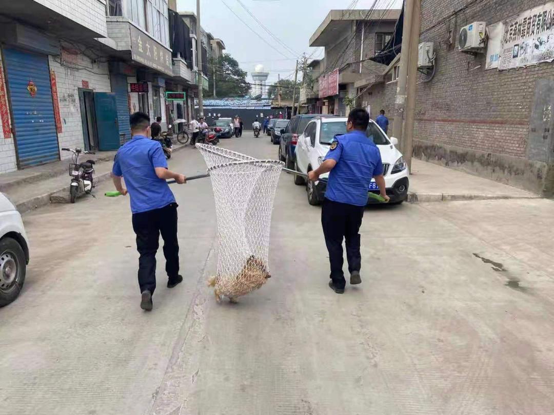临汾新闻早知道|重磅推出12处打卡地;3集体拟获全国表彰;航班调整;又一大楼封顶;捕狗行动