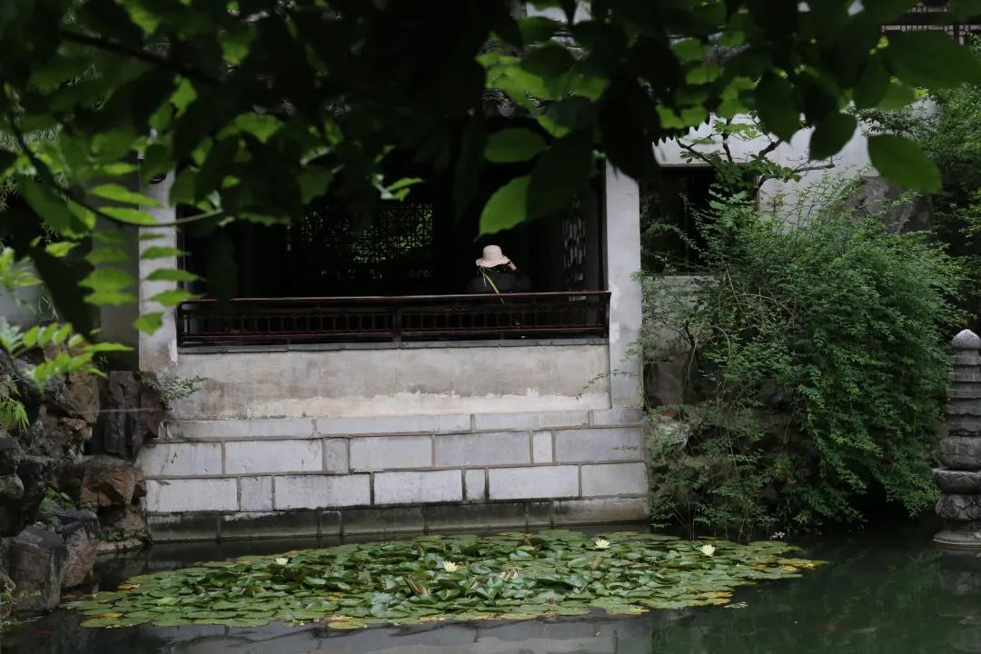 园林与园艺滋养生命的关系,中国传统园林和古典园林的区别