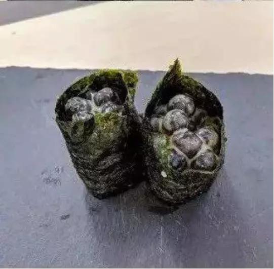 去日本开个蛋糕店,去日本开店大概多少钱