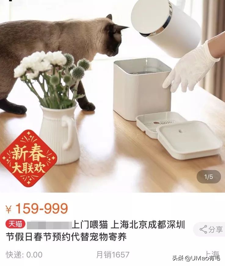 上门喂猫到底怎么样,上门喂猫一般多久一次