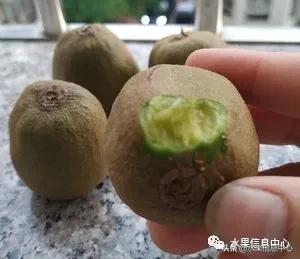 在网上买水果遇到假货怎么办,网上购买水果会被坑吗