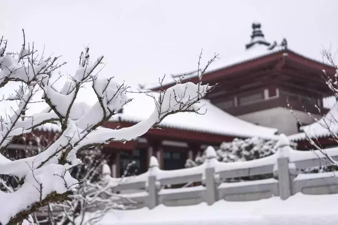 佛了！魔都周边9座「禁欲系寺院」，美到想出家！