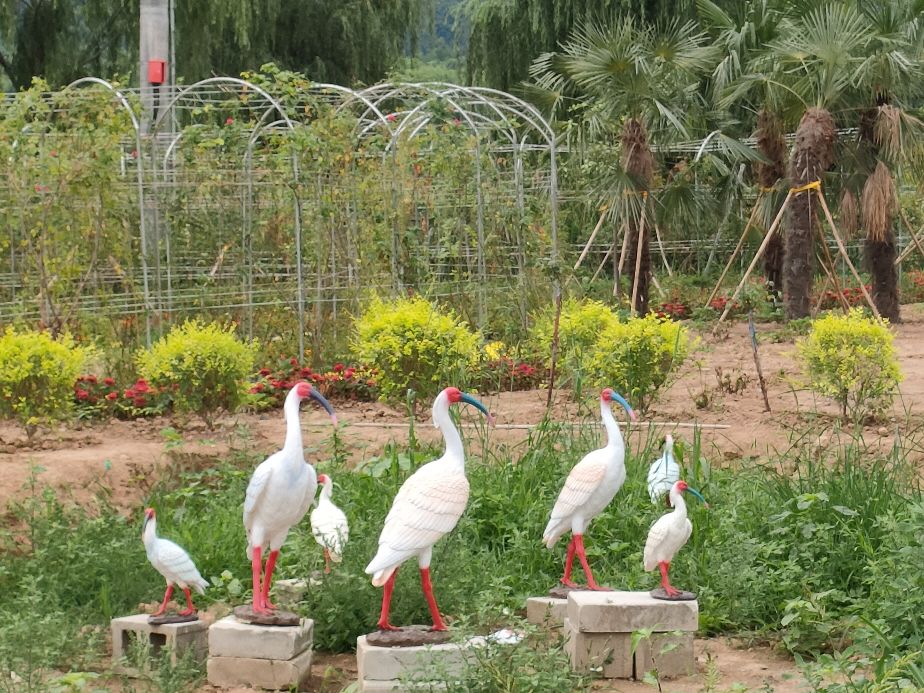因过竹院逢僧话偷得浮生半日闲,偷得浮生半日闲下一句什么意思