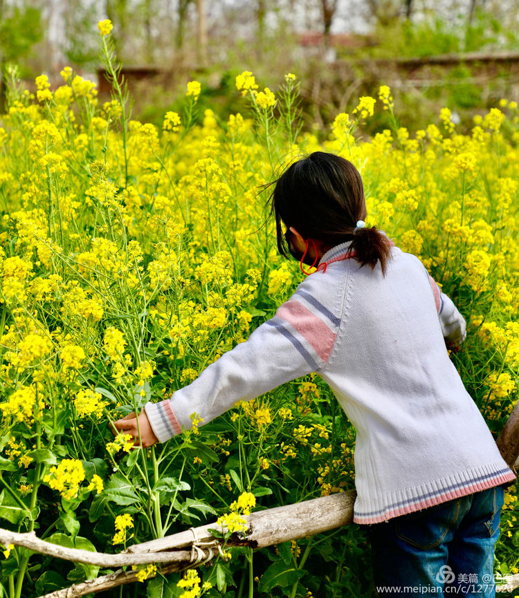 曾经的新安小香港,今日物是人非,探访洛阳水泥厂工人村