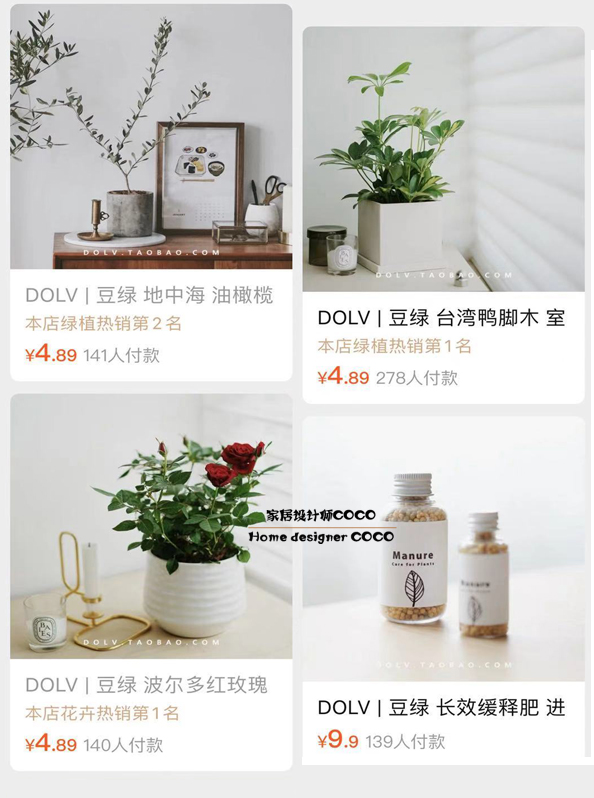 极简风格绿植店铺推荐 (室内店铺适合养的植物有香味)