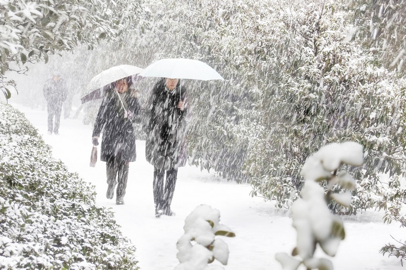 照片亮的很亮暗的很暗怎么解决,照片过曝或过暗怎么处理
