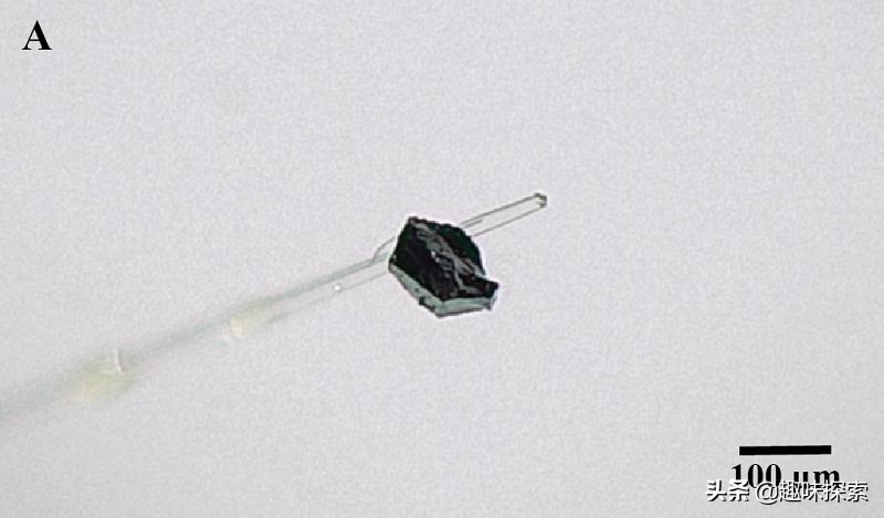 真钻石和南非钻石区别,南非钻石好还是莫桑钻石好