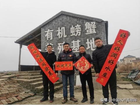 2021年螃蟹养殖一亩地赚多少钱,养殖一亩地母螃蟹的利润