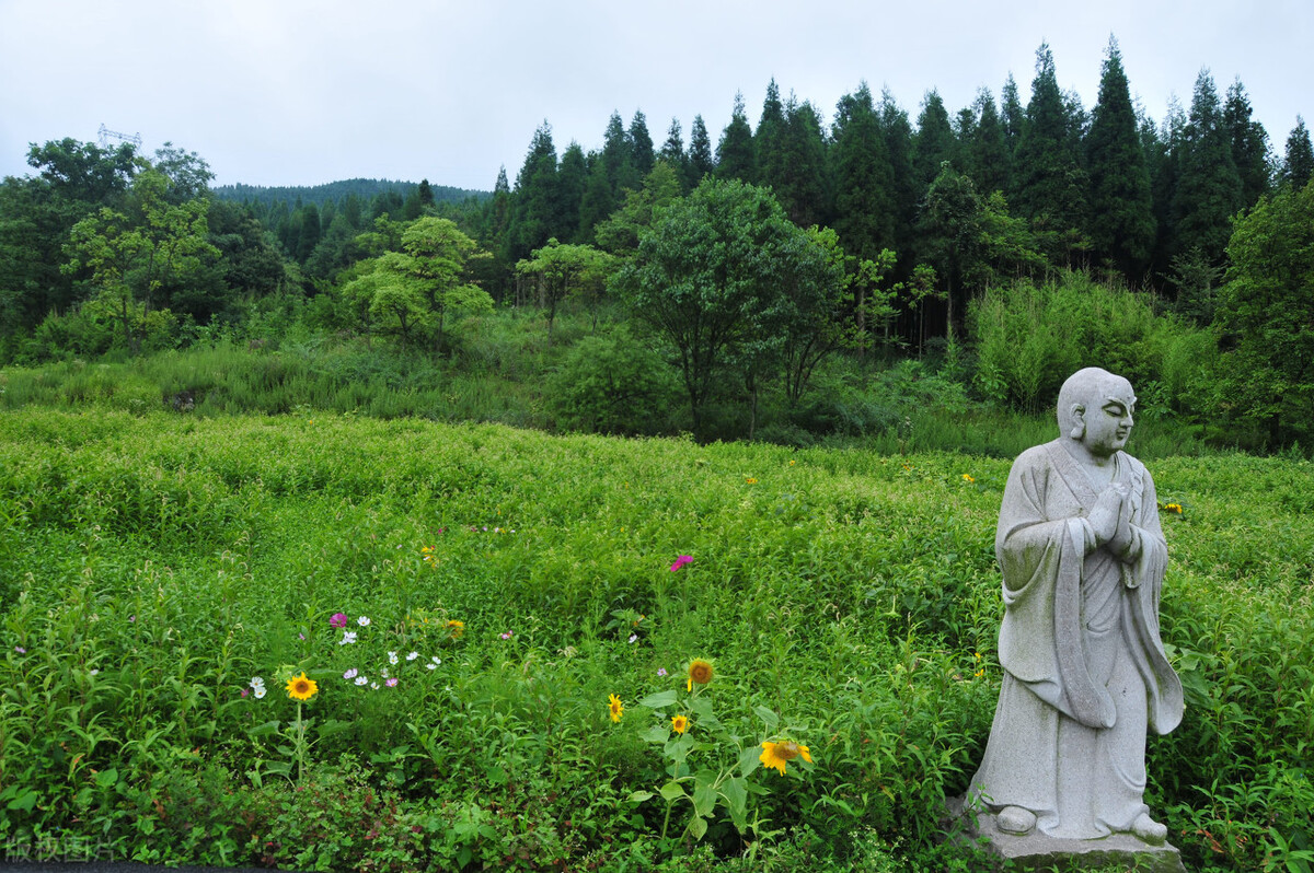 重庆适合亲子游2天一晚避暑,重庆周边的四川避暑胜地有哪些