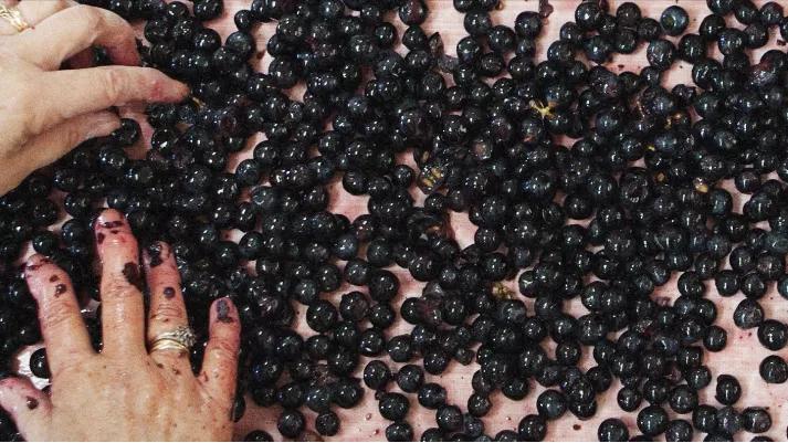 波尔多右岸名庄2005,波尔多右岸顶级名庄白马